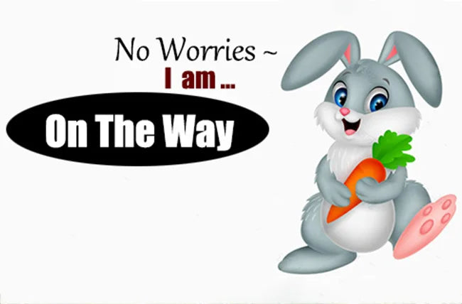 New streetwear denim sneakers men's fashion tied up runway shoes male canvas sneakers hip-hop shoes large size 47 48 boy trainer