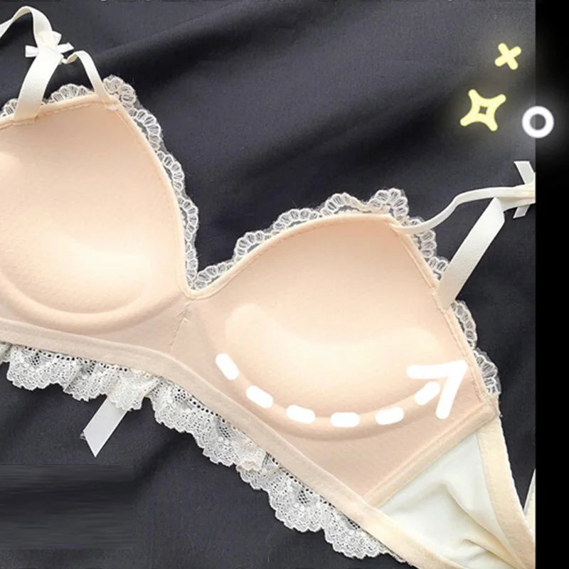 Japanese Bras Lace Lingeire Underwear Set Brief Women Intimates Embroidery Sexy Push Up Bra and Pany Sets Ropa Interior Mujer
