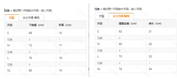 2 Piece Set Lingerie Woman Lace Transparent Underwear Fairy Embroidery Brief Sets Delicate Bra Kit Push Up Breves Sets Lenceria