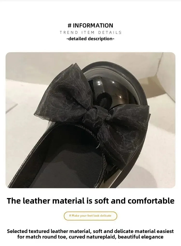 French Mary Jane Women's 2025 Spring Unique Gentle High Heels Versatile British Style Small Leather Shoes for Evening Wear