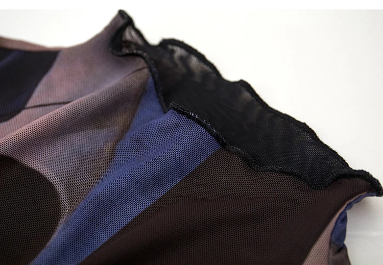 AMII Minimalism Long sleeve T-shirts for Women 2025 Spring New Bottoming Shirt Mesh Printing Inside Slim Trendy Tops 12421003