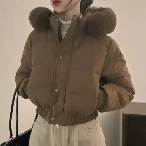 South korea Chic Autumn and Winter Fur Collar Hood Short down Coat Women Fashion Thick Warm Fleece-lined Cotton-padded jacket...