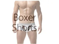 Sheer Pink Lingerie Set Frilled Lace Bralette Transparent High Waist Panty Garter Belt Bridal Romantic Seductive Underwear Women