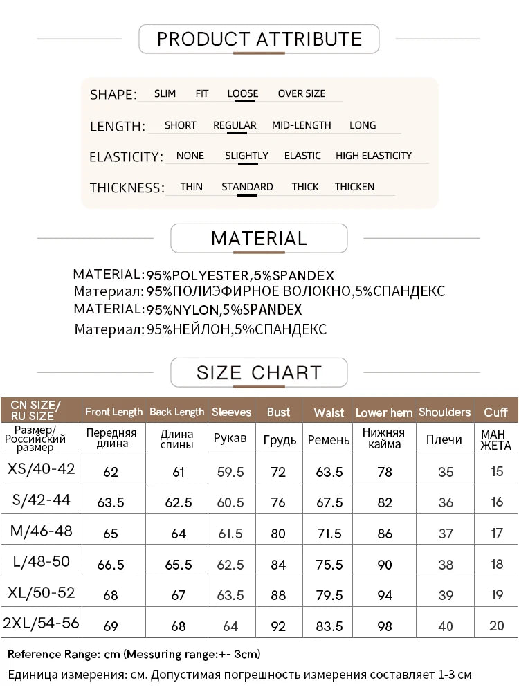 AMII Minimalism Long sleeve T-shirts for Women 2025 Spring New Bottoming Shirt Mesh Printing Inside Slim Trendy Tops 12421003