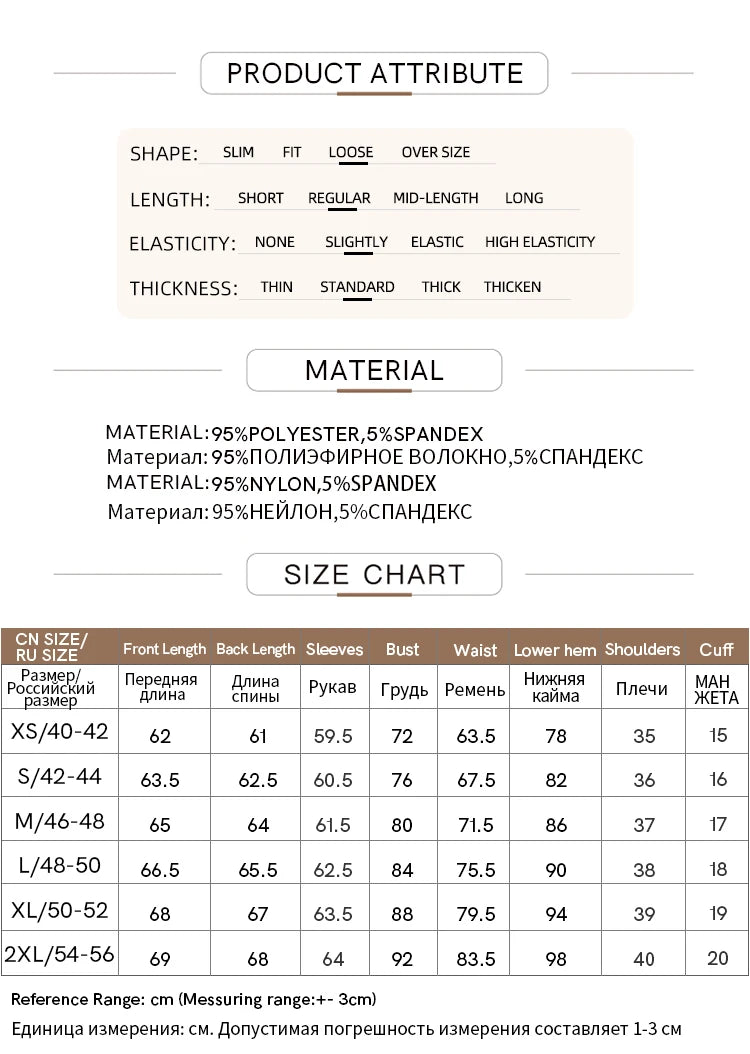 AMII Minimalism Long sleeve T-shirts for Women 2025 Spring New Bottoming Shirt Mesh Printing Inside Slim Trendy Tops 12421003