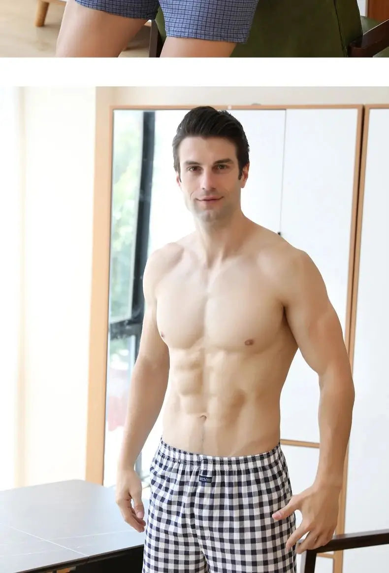 Plus Size M-3XL Men's Aro Pants Cotton Lattice Underwear Loose High Waist Summer Thin Breathable Home Shorts Pouch Underpants