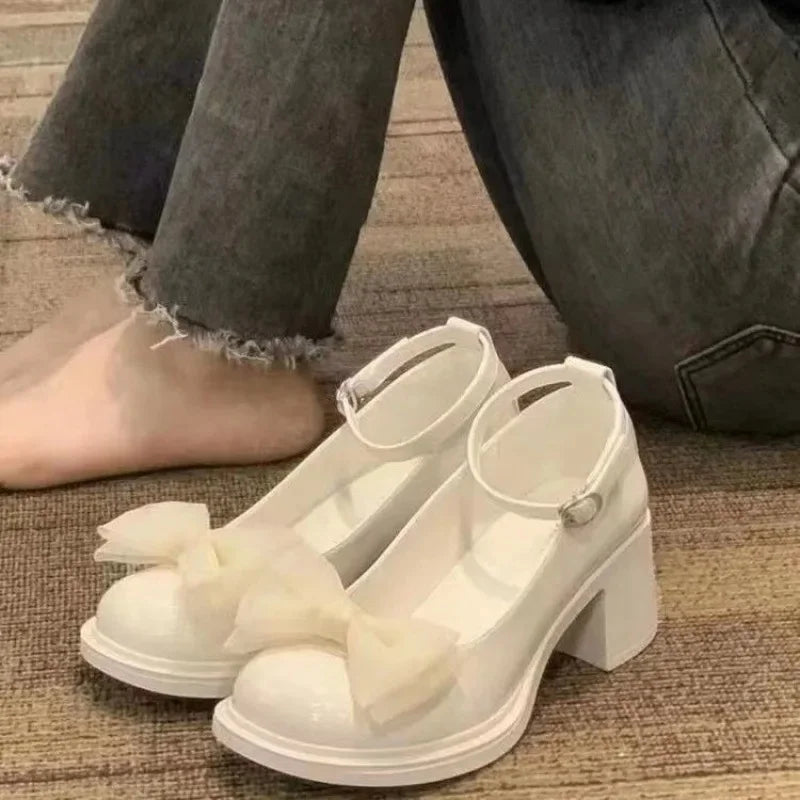 French Mary Jane Women's 2025 Spring Unique Gentle High Heels Versatile British Style Small Leather Shoes for Evening Wear