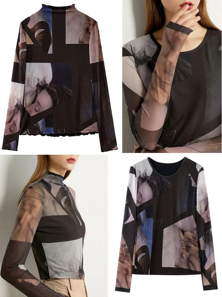 AMII Minimalism Long sleeve T-shirts for Women 2025 Spring New Bottoming Shirt Mesh Printing Inside Slim Trendy Tops 12421003