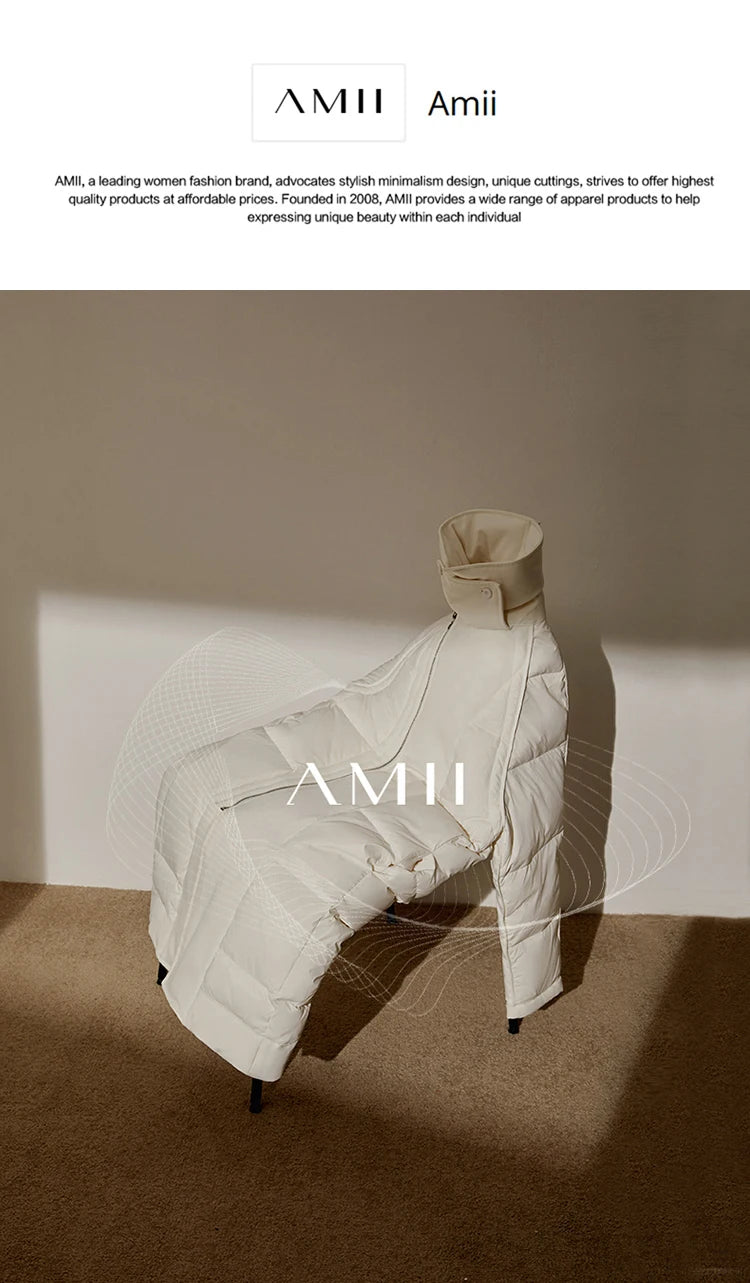 AMII Minimalism Long sleeve T-shirts for Women 2025 Spring New Bottoming Shirt Mesh Printing Inside Slim Trendy Tops 12421003