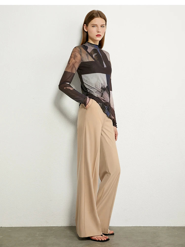 AMII Minimalism Long sleeve T-shirts for Women 2025 Spring New Bottoming Shirt Mesh Printing Inside Slim Trendy Tops 12421003