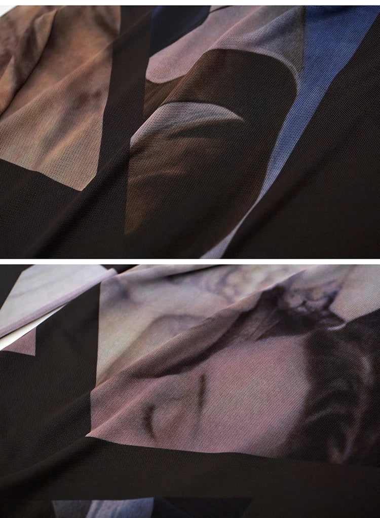 AMII Minimalism Long sleeve T-shirts for Women 2025 Spring New Bottoming Shirt Mesh Printing Inside Slim Trendy Tops 12421003