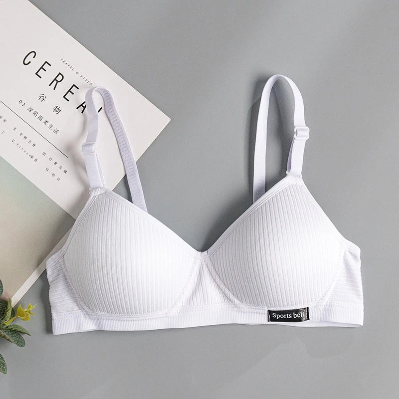 FallSweet Cotton Wireless Bra for Women Seamless Push Up Bras Comfortable V-Shaped Gathering Underwear AB Cup Intimate Lingerie