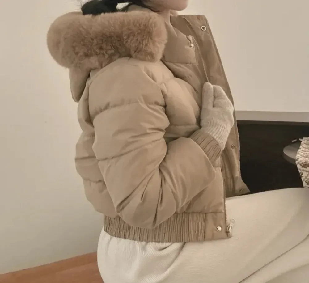 South korea Chic Autumn and Winter Fur Collar Hood Short down Coat Women Fashion Thick Warm Fleece-lined Cotton-padded jacket...