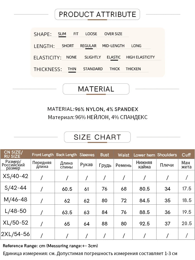 Amii Minimalism Mesh T-shirts For Women 2025 Spring New Office Lady Half-high Neck Micro Perspective Slim Retro Shirt 12423055