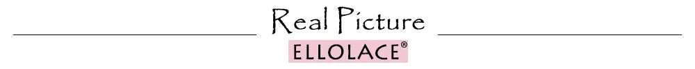 Ellolace Floral lingerie Exotic Sets Bra Kit Push Up Lace Embroidery Intimate Goods See Through Exotic Sets Tulle Underwear