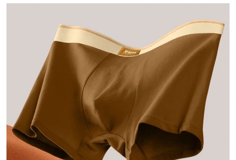 3pcs Men Panties Cotton BoxerShorts Man Underwear Mens Boxers Breathable U Convex Male Underpants Sexy Trunks