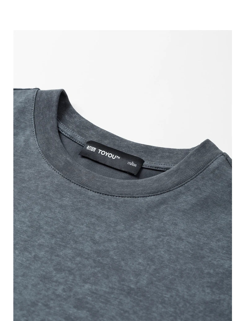 TOYOUTH Women T shirt 2025 Spring New Fake Two Piece Printed Round Neck Fashionable Pullover T shirt