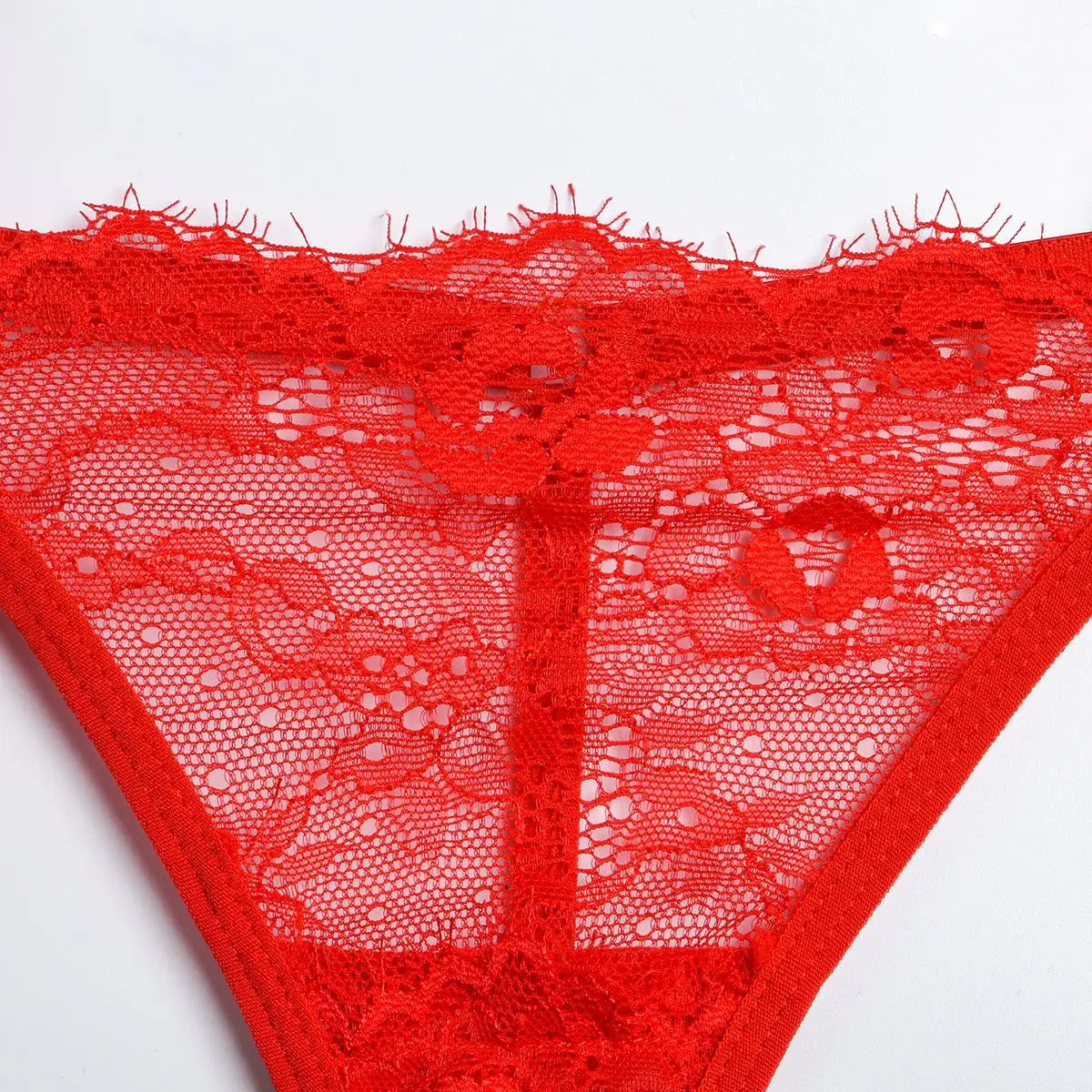 Diccvicc Beautiful Lingerie Eyelash Elegant Transparent Lace Bra Panty Set Floral Embroidery Women Sexy Underwear Exotic Outfit