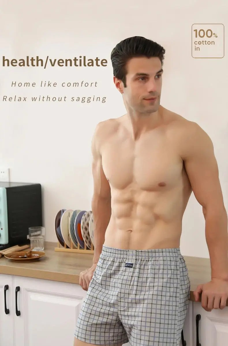 Plus Size M-3XL Men's Aro Pants Cotton Lattice Underwear Loose High Waist Summer Thin Breathable Home Shorts Pouch Underpants