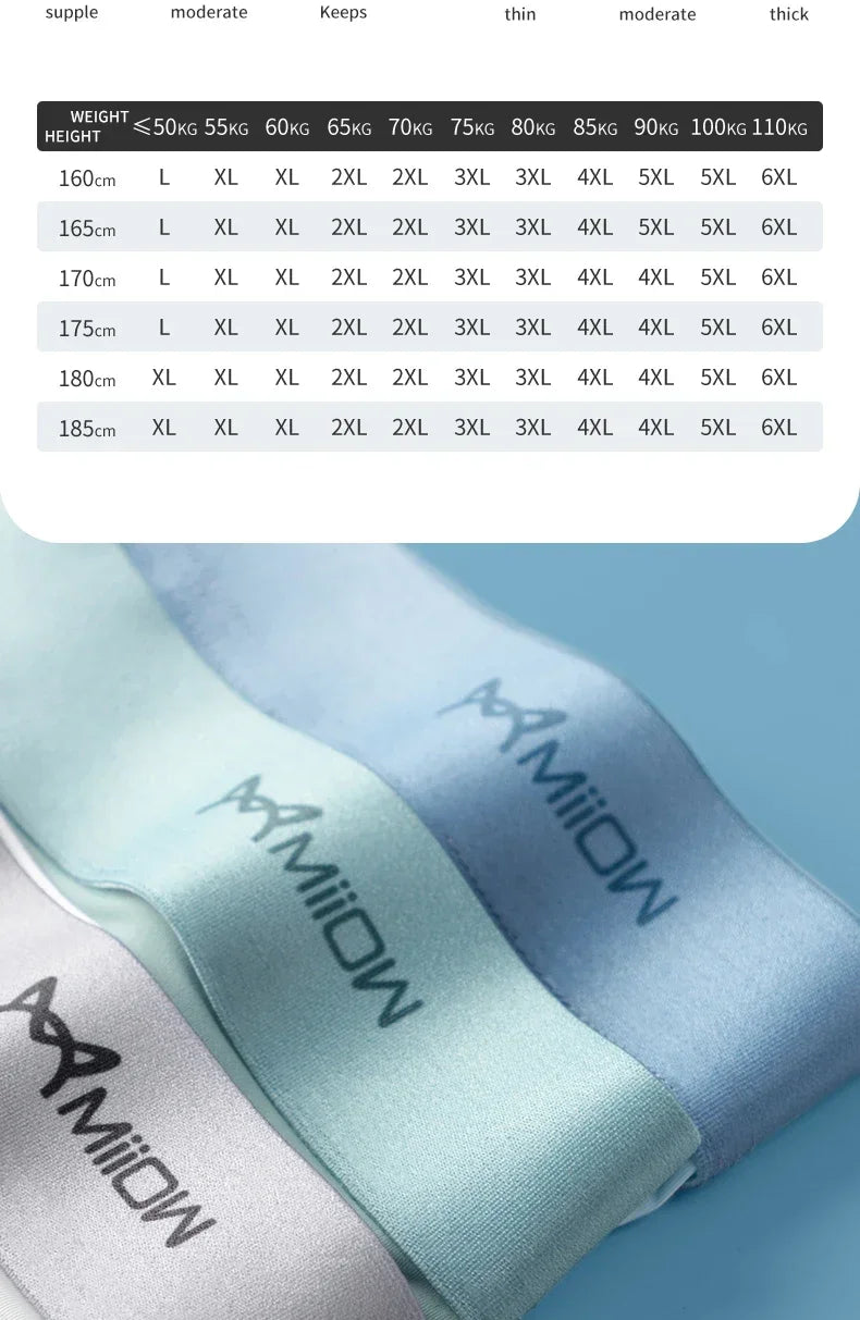 MiiOW 4Pcs Ice Silk Men's Panties Sexy Seamless Man Boxershorts Graphene Antibacterial Men Underwear Breathable Man Boxer Briefs