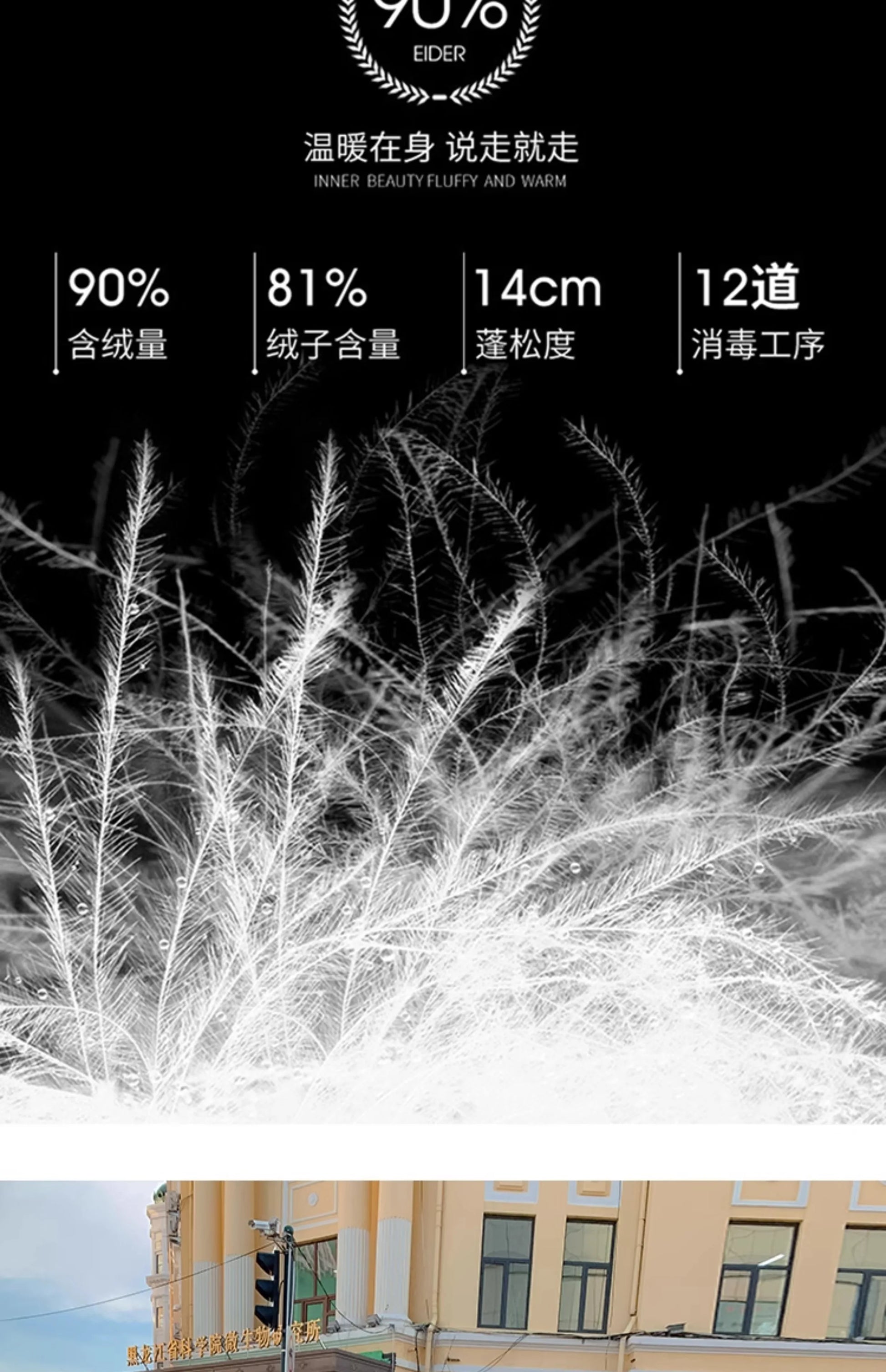 Down Jacket Fashion Short Women's Autumn and Winter Thickened Warm Windproof Warm Loose Hooded Straight Cartoon Anime Print 1Pc